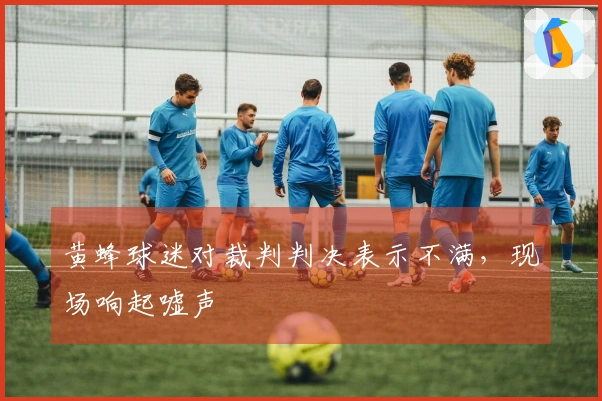 黄蜂球迷对裁判判决表示不满，现场响起嘘声